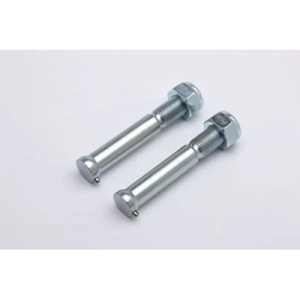 RENTH BOLT KIT
